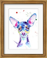 Framed Dobby Chihuahua