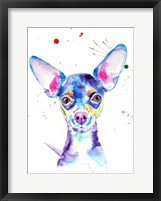 Framed Dobby Chihuahua