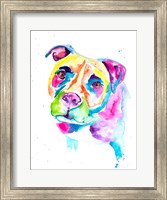Framed Colorful Pitbull