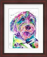 Framed Colorful Bernedoodle