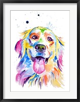 Framed Golden Retriever