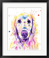 Framed Aurora Golden Retriever