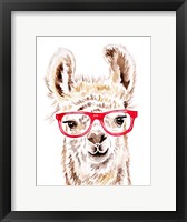Framed Llama in Glasses