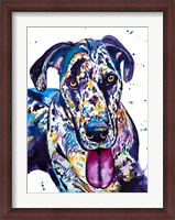 Framed Colorful Great Dane