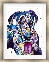 Framed Colorful Great Dane