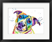 Framed Australian Cattle Dog