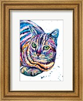 Framed Colorful Tabby Cat