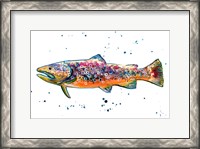 Framed Colorful Trout