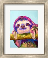 Framed Sloth