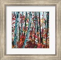 Framed Autumn Radiance