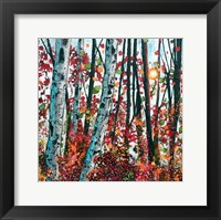 Framed Autumn Radiance