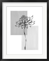 Framed Botanical Rectangle II