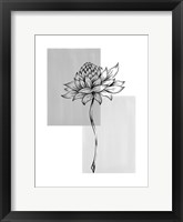 Framed Botanical Rectangle II