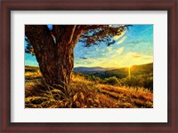 Framed Gnarled Tree at Sunset