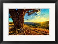 Framed Gnarled Tree at Sunset