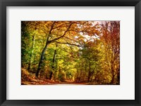 Framed Autumn Pathway