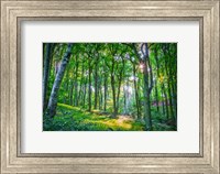 Framed Emerald Forest
