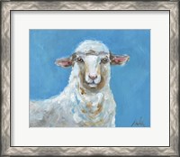 Framed Lola the Sheep