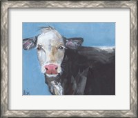 Framed Tommy the Cow