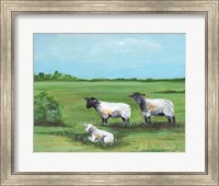 Framed Sheep Trio