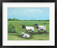 Framed Sheep Trio