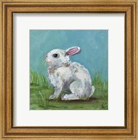 Framed White Bunny