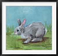 Framed Gray Bunny