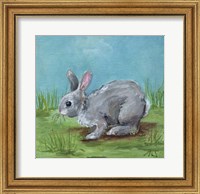 Framed Gray Bunny