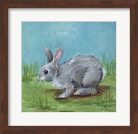 Framed Gray Bunny