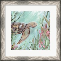 Framed Sea Turtle in Sunlight