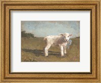 Framed Little Lamb III