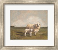 Framed Sheep in the Pasture II