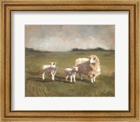 Framed Sheep in the Pasture III