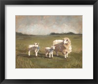 Framed Sheep in the Pasture III