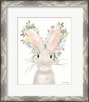 Framed Floral Rabbit