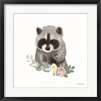 Framed Floral Raccoon