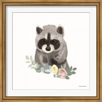 Framed Floral Raccoon