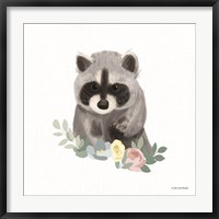 Framed Floral Raccoon