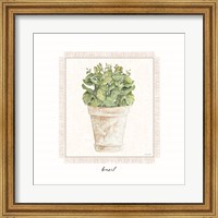 Framed Fresh Basil