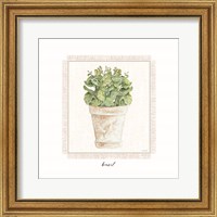 Framed Fresh Basil