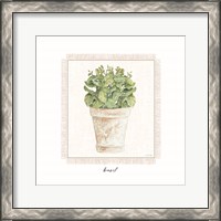 Framed Fresh Basil