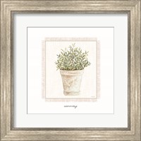 Framed Fresh Rosemary