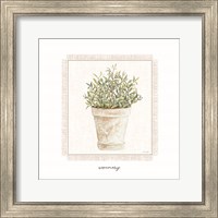 Framed Fresh Rosemary