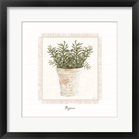 Fresh Thyme Framed Print