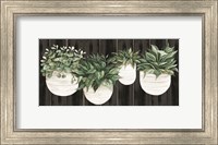 Framed Potted Plants on Barnwood