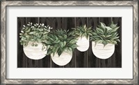 Framed Potted Plants on Barnwood