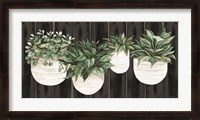 Framed Potted Plants on Barnwood