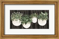 Framed Potted Plants on Barnwood