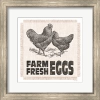 Framed Farm Fresh Eggs