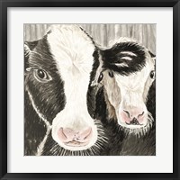 Framed Farm Cows